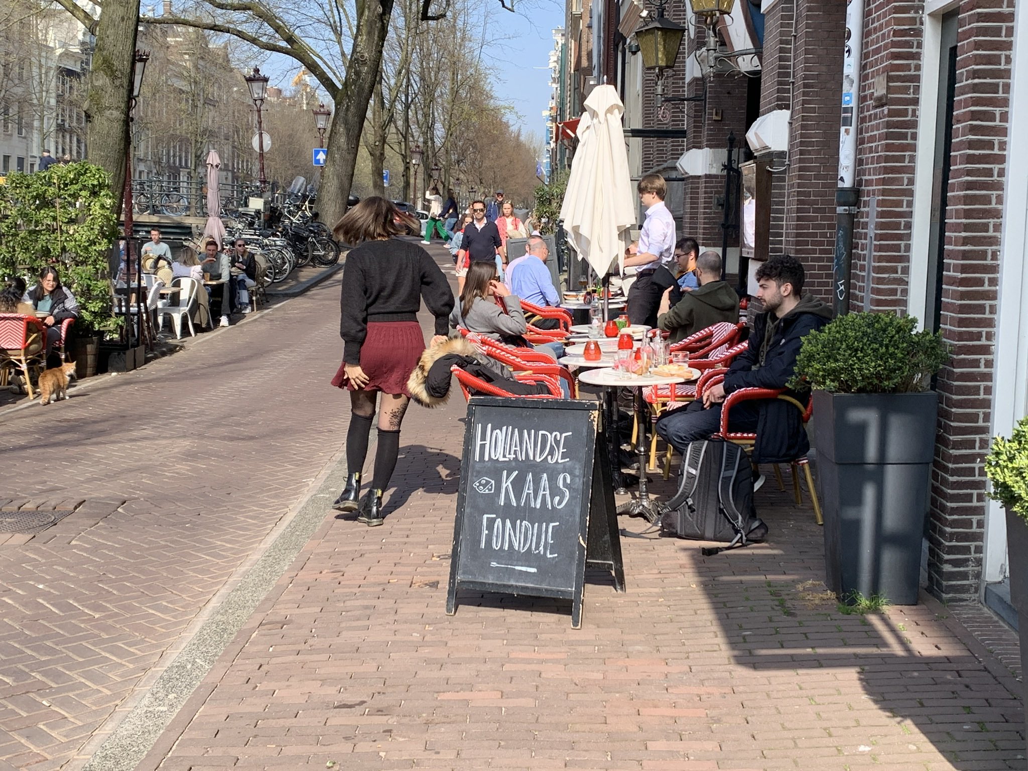 Goede foto's voor je website