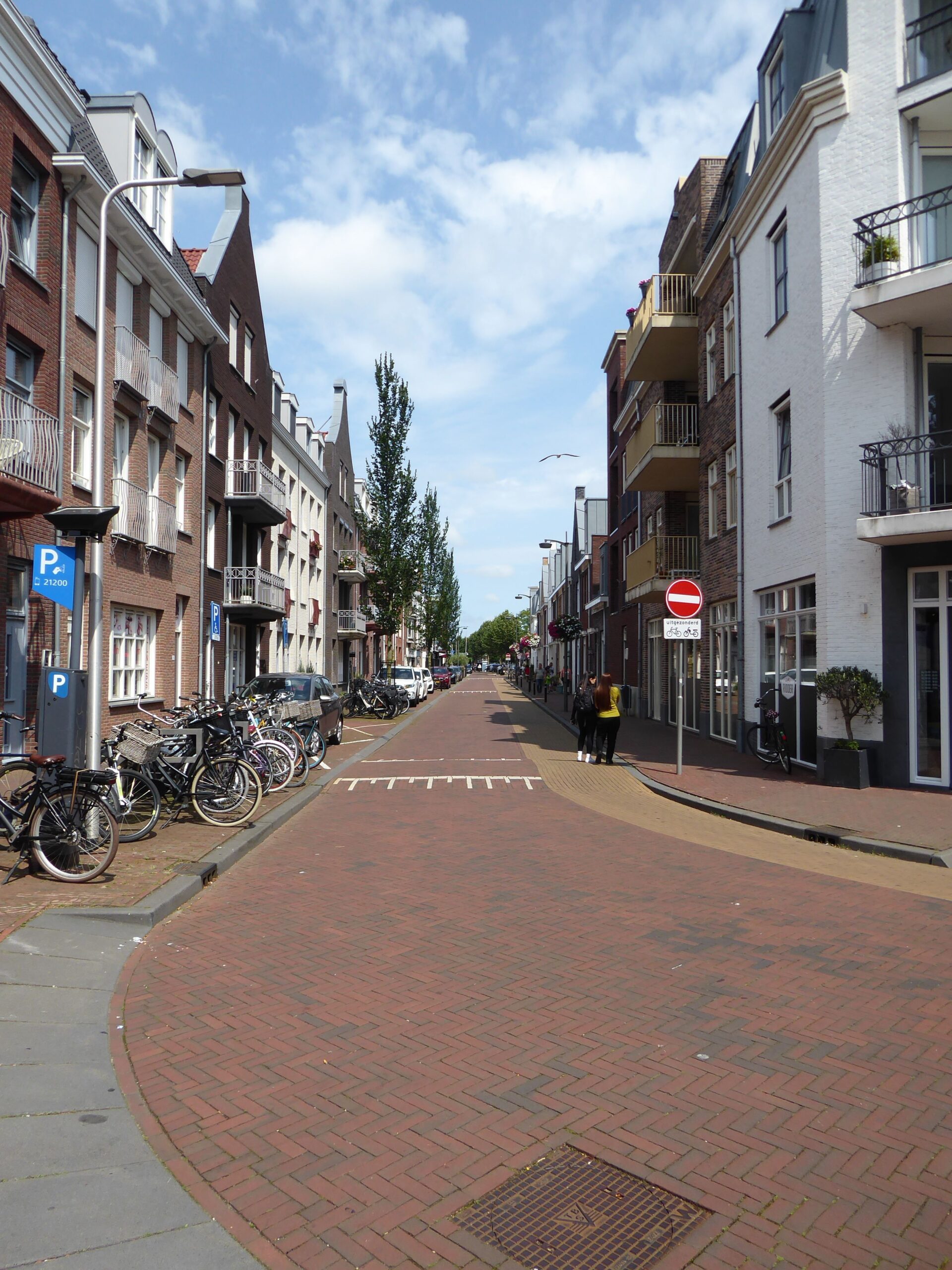 Haarlemse stoepen vol obstakels