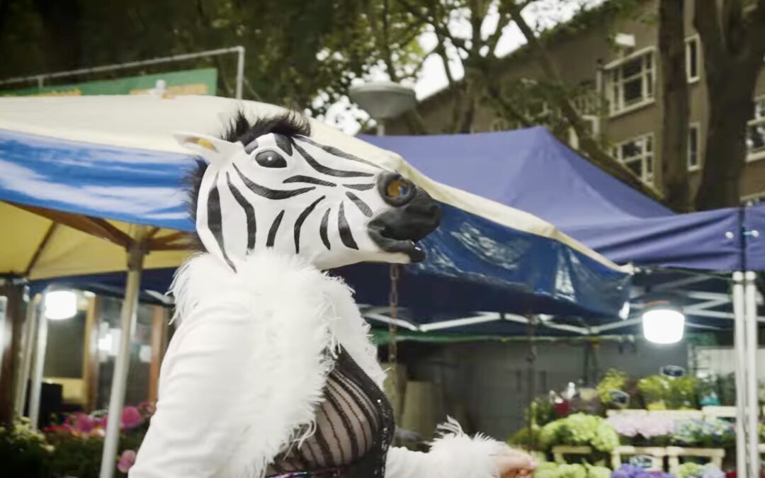 Reportage: Kinderen in actie voor veilige zebra’s